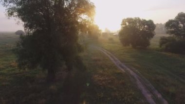 Sisli yol. Nehri Vadisi erken sabah sis bulutları bükülmüş. sarı turuncu gündoğumu ufuk. Hava güzel Ukrayna doğa manzara robot. Romantik sinema ruh hali