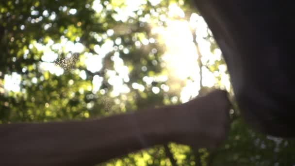 Boxer punching bag, on the outdoor. Slow motion sequence. — Stock Video