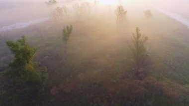 Sisli sabah hava görüntüleri video. Uçan Desna Nehri. Gündoğumu zaman. Kiev region, Ukrayna.