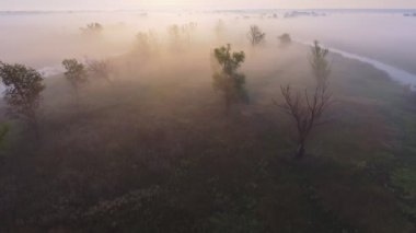 Sisli sabah hava görüntüleri video. Uçan Desna Nehri. Gündoğumu zaman. Kiev region, Ukrayna.