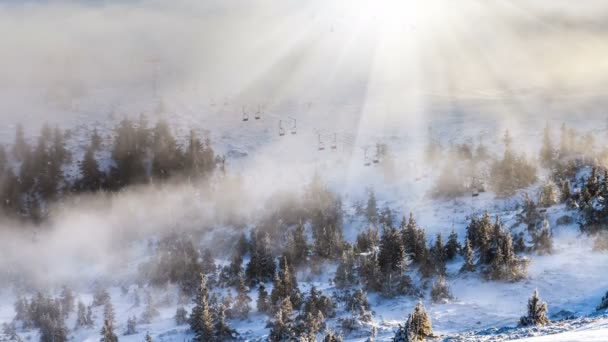 Chute de neige dans une montagne d'hiver avec des arbres enneigés, au ralenti — Video
