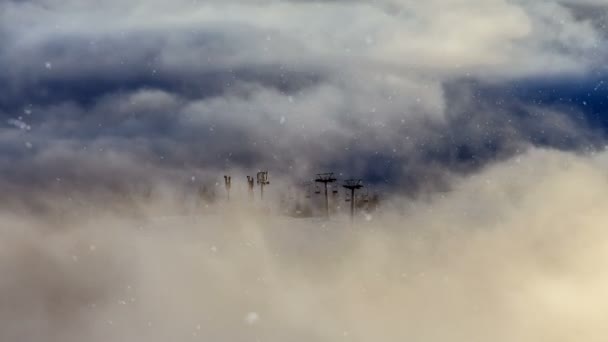 Paysage hivernal de neige. collines avec de nombreux pins couverts de neige . — Video