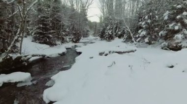 Anteni: Uçuş kışın Nehri. Yağan kar