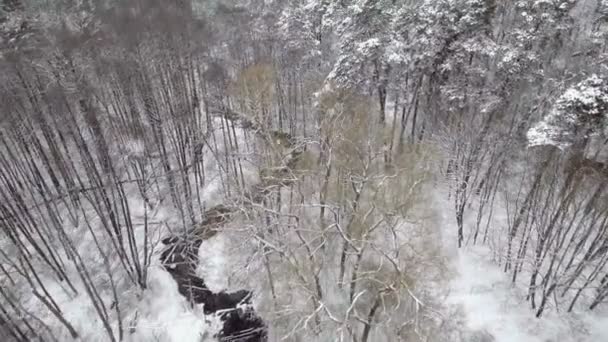 空中: 冬天在河上飞行。坠落的雪 — 图库视频影像