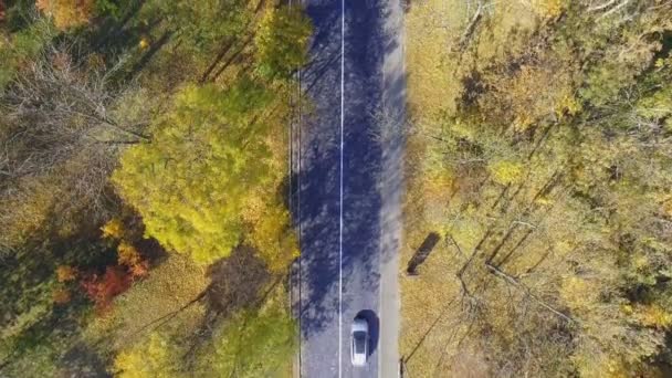 通过五颜六色的森林旅行汽车头顶空中俯视 — 图库视频影像