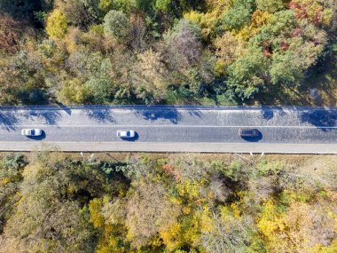 Şu arabayı renkli orman yoluyla seyahat havadan görünümü