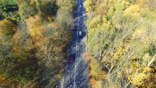 Vista aérea sobre o carro que viaja através da floresta colorida — Vídeo de Stock