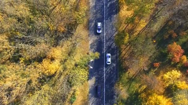 Vista aerea sulla macchina che attraversa la foresta colorata — Video Stock