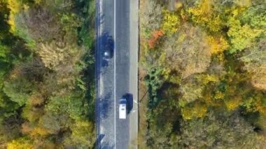 Şu arabayı renkli orman yoluyla seyahat havadan görünümü
