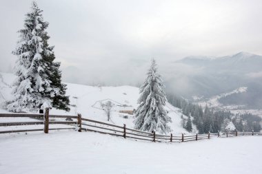 kışın güzel dağlar. Kırsal pezazh. Ağaçlar karla kaplı. Yeni Yılınız Kutlu Olsun