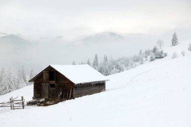 kışın güzel dağlar. Kırsal pezazh. Ağaçlar karla kaplı. Yeni Yılınız Kutlu Olsun