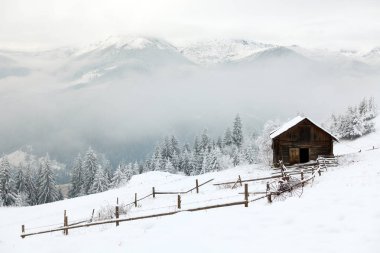 kışın güzel dağlar. Kırsal pezazh. Ağaçlar karla kaplı. Yeni Yılınız Kutlu Olsun