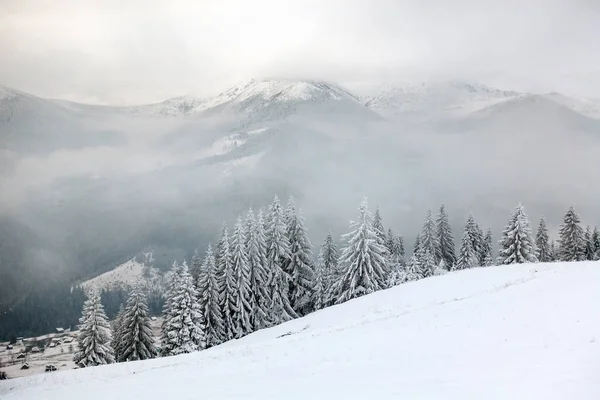 Belles montagnes en hiver. Pezazh rural. Arbres couverts de neige. Bonne année — Photo