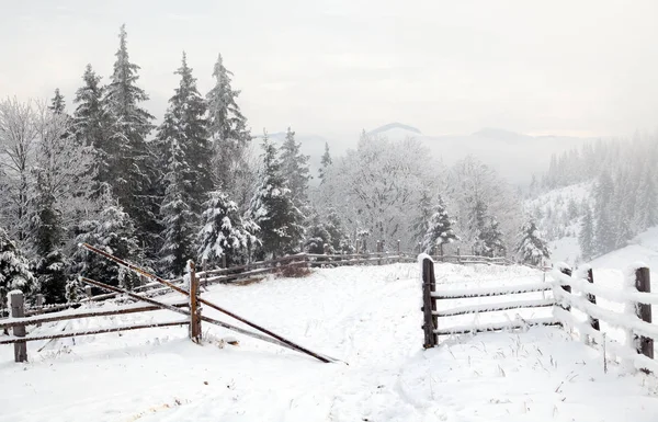 美丽的山在冬天。农村佩扎日。树被雪覆盖。新年快乐 — 图库照片