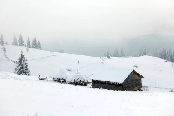 Prachtige bergen in de winter. Landelijke pezazh. Bomen bedekt met sneeuw. Gelukkig Nieuwjaar — Stockfoto