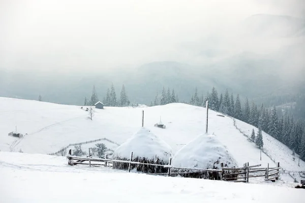 美丽的山在冬天。农村佩扎日。树被雪覆盖。新年快乐 — 图库照片