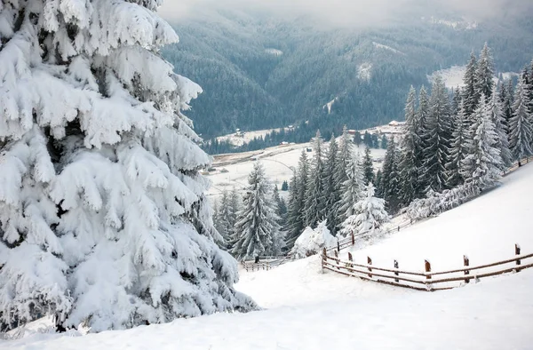 美丽的山在冬天。农村佩扎日。树被雪覆盖。新年快乐 — 图库照片