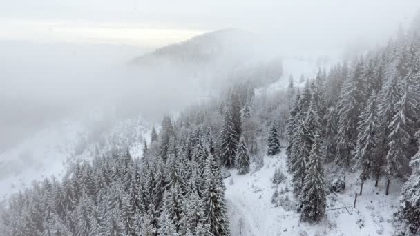 Montanhas no inverno. Pezazh rural. Árvores cobertas de neve. Feliz Ano Novo — Vídeo de Stock