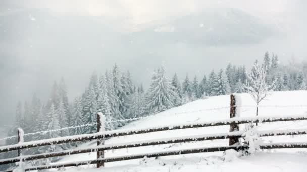 Montañas en invierno. pezazh rural. Árboles cubiertos de nieve. Feliz Año Nuevo — Vídeos de Stock