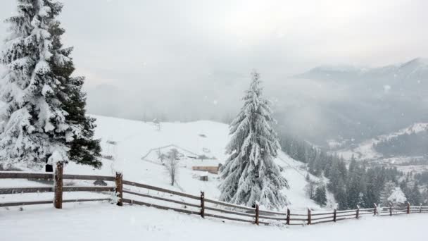 Montañas en invierno. pezazh rural. Árboles cubiertos de nieve. Feliz Año Nuevo — Vídeos de Stock