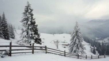 Kış dağlarda. Kırsal manzara. Ağaçlar karla kaplı. Yeni Yılınız Kutlu Olsun. çok güzel ağaçlar donmuş. Kış Masalı.