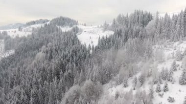 Kış dağlarda. Kırsal manzara. Ağaçlar karla kaplı. Yeni Yılınız Kutlu Olsun. çok güzel ağaçlar donmuş. Kış Masalı