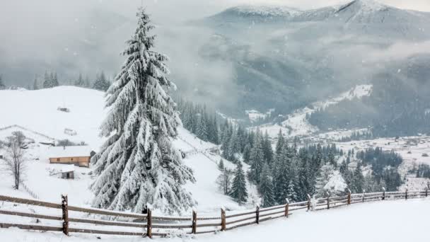 山在冬天。乡村景观。树被雪覆盖。新年快乐。冰冻非常美丽的树木。冬季故事. — 图库视频影像