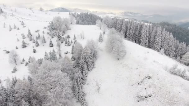 Berge im Winter. Ländliche Landschaft. Bäume, die mit Schnee bedeckt sind. Frohes neues Jahr. gefrorene sehr schöne Bäume. Wintermärchen. — Stockvideo