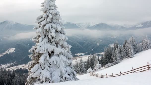 冬の山。農村の風景です。明けましておめでとう。冷凍の木々 がとても美しい。冬の話. — ストック動画