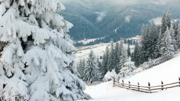 Montanhas no inverno. Paisagem rural. Feliz Ano Novo. árvores congeladas muito bonitas. Conto de inverno . — Vídeo de Stock