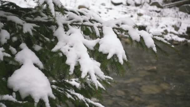Vidéki táj. Boldog Új Évet. fagyasztott nagyon gyönyörű fák. Téli mese. — Stock videók