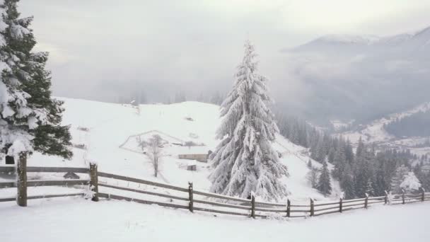Venkovská krajina. Šťastný nový rok. zmrzlé stromy, velmi krásná. Zimní pohádka. — Stock video