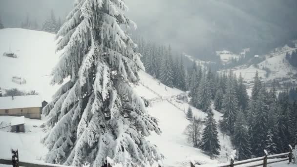 Montagne Inverno Paesaggio Rurale Felice Anno Nuovo Congelati Alberi Molto — Video Stock