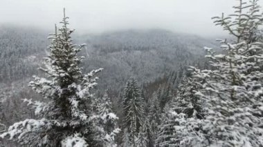 Kırsal manzara. Yeni Yılınız Kutlu Olsun. çok güzel ağaçlar donmuş. Kış Masalı.