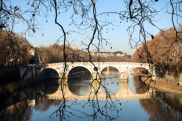 Roma manzarası st.peter Bazilikası Vatikan şehri