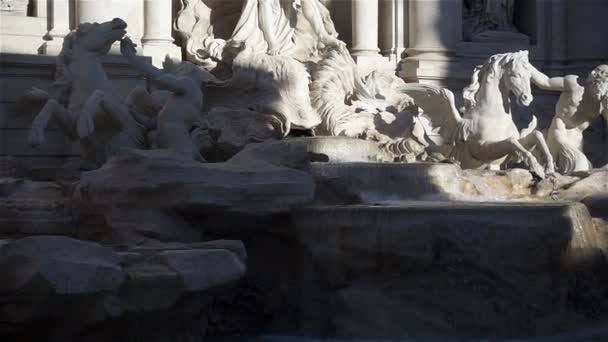 Fontanna di Trevi jest fontanną w dzielnicy Trevi w Rzymie, Włochy. — Wideo stockowe