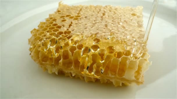 Honey dripping from honey dipper on honeycomb. — Stock Video