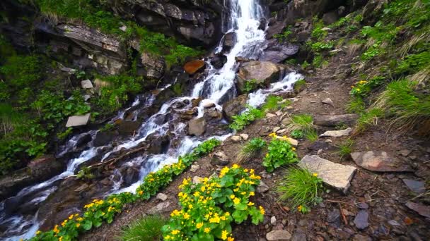 Cascades de montagne. vue de cascade géante coulant dans les montagnes . — Video