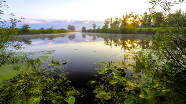 Nascer do sol dourado com paisagem nublada dramática sobre o vídeo do lago — Vídeo de Stock