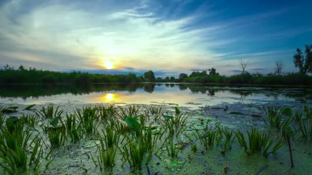 Zlatý východ slunce s dramatickou přímračí přes jezero — Stock video