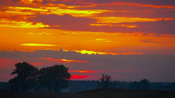 Золотий схід сонця з драматичним хмарним пейзажем над озером відео — стокове відео