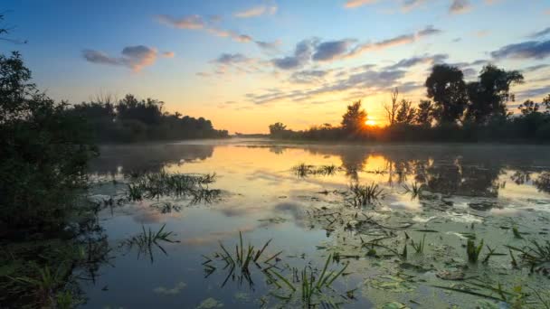 Salida del sol de oro con un paisaje nublado dramático sobre el video del lago — Vídeo de stock