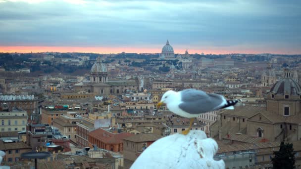 Paysage urbain de Rome avec la Cité du Vatican au lever du soleil en Italie — Video