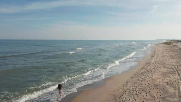 Femme sportive mince est couru seul tôt le matin sur le littoral — Video