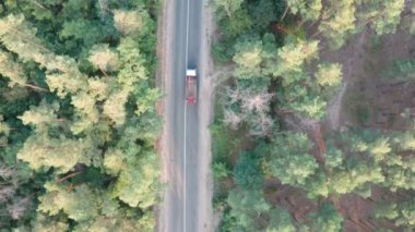 Ormanda kırsal yolda araba sürüş havadan görünümü.