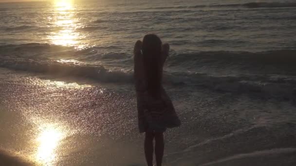 Een vrouw ontwikkelt haar in de wind tegen de achtergrond van de zee. — Stockvideo