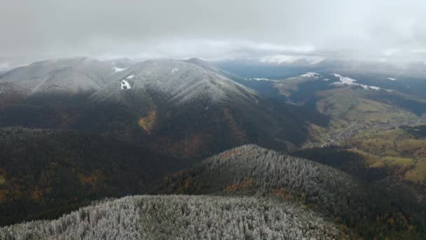 空中：飞越多雾的秋天五彩斑斓的森林. — 图库视频影像