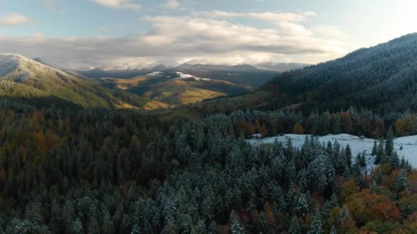 Wunderschöner autmn Wald, der bei Sonnenuntergang leuchtet. Fliegen über farbenfrohe Bergflora — Stockvideo