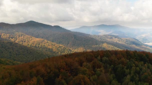 Beautiful Autmn forest shining at sunset. Flying above Colorful mountain flora — Stock Video