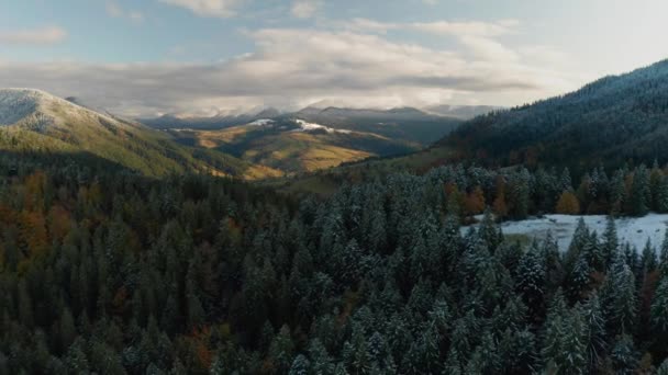 Прекрасний автономний ліс сяє на заході сонця. Літаючи над Барвистою гірською флорою — стокове відео